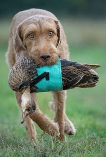 Cold Game Wrap Tyg med kardborre Grön Omkrets ca 22-40 cm